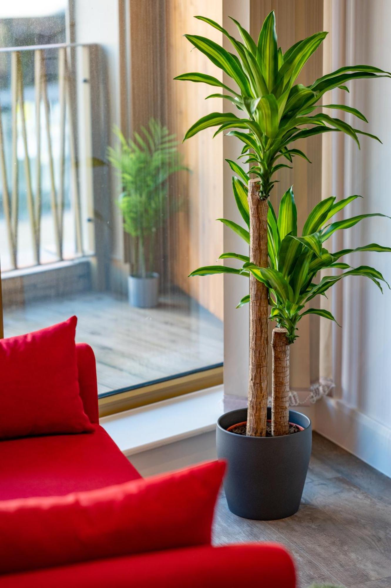 Luxe Retreat 5 * London